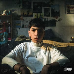 Rincón album cover